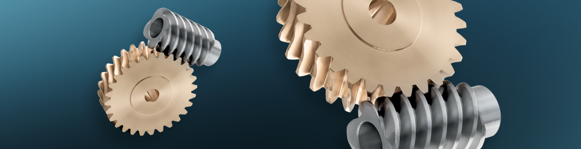 Hohlschnecken – schneckenräder